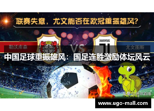 中国足球重振雄风:国足连胜激励体坛风云